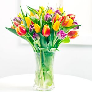 Seasonal bouquet of tulips
